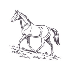 Graceful Running Horse in Minimalist Line Art, Featuring Flowing Mane for a Sense of Motion
