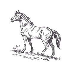Minimalist Running Horse Illustration with Flowing Mane, Emphasizing Movement and Grace