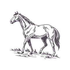 Elegant Minimalist Line Drawing of a Galloping Horse with Dynamic Flowing Mane