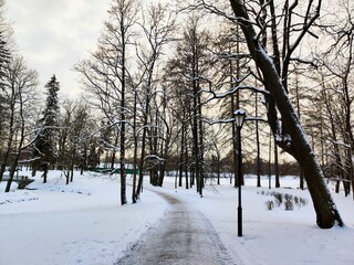 Winter in the park