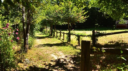 path in a rural farm setting, where a natural wooden fence encloses a small grove of trees, the fence posts draped with creeping vines and flowers. farm, natural wooden fence, grove, trees, 
