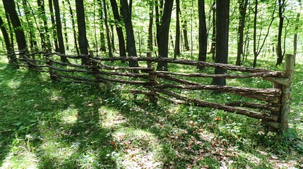 Obraz premium fence made from branches, encircling a peaceful clearing in the woods, with young saplings and a scattering of fallen leaves on the ground. fence, branches, forest clearing, secluded, trees, 