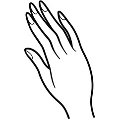 Obraz premium black line art illustration of a gracefully posed human hand, isolated on a solid white background 