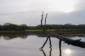 view of the River Hamble Hampshire England on a winter day with the sun reflecting in the water