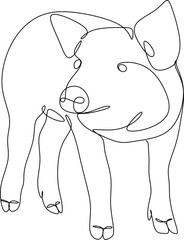 Сontinuous abstract line drawing of pig hand drawn
