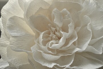 Delicate white paper flower with intricate layers showcases soft, romantic texture and handmade details.
