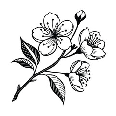 black and white floral background