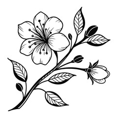 Fototapeta premium black and white floral background
