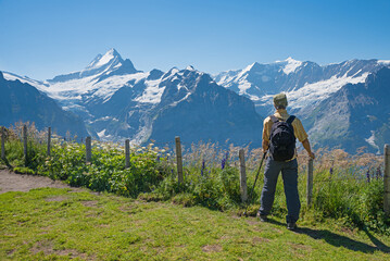 Fototapeta premium man standing behind fence, at lookout point Grindelwald First, stunning alps view switzerland