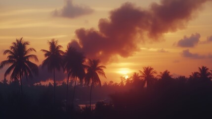 Obraz premium A beautiful sunset with palm trees silhouetted against a colorful sky.