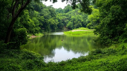 Fototapeta premium Serene Green River Landscape with Lush Vegetation