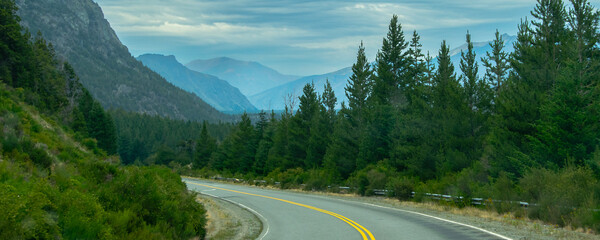 Highway crossing patagonian forest landscape, rio negro, argentina