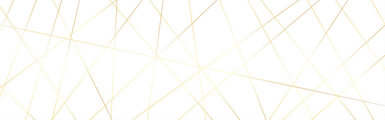 Random geometric line pattern on a transparent background. Random line low poly pattern. abstract seamless line vector. Random chaotic lines abstract geometric patterns of modern design.