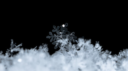 winter photo of snowflakes in the snow