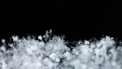 winter photo of snowflakes in the snow