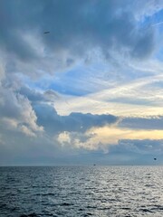 Seagulls flying over the Turkish Gulf in Izmir city