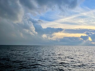 Seagulls flying over the Turkish Gulf in Izmir city