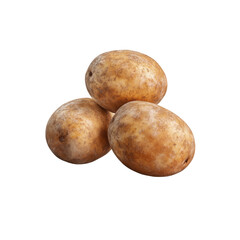 Fototapeta premium Close-up of three fresh potatoes. Brown, unpeeled and healthy root vegetables are ideal for cooking and culinary dishes, transparent background