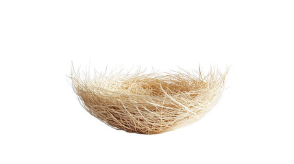 Empty Bird Nest Beige Natural Texture Isolated Black Background Detailed Closeup Studio Shot home soft pale calm birds  