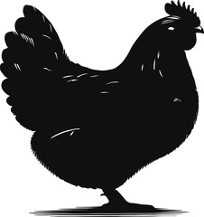 a hen silhouette vector