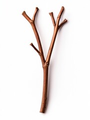 Obraz premium A simple brown twig with several branches against a clean background.
