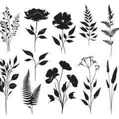 Plants flowers set black silhouette isolated vector