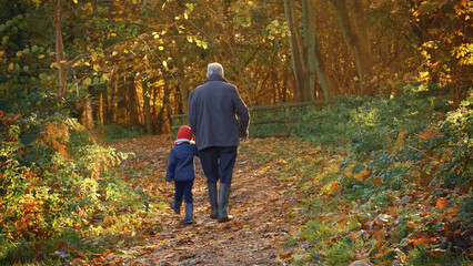 Rear View Of Loving Grandfather Holding Hands With Granddaughter On Autumn Walk Through Countryside