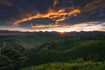 Sunrise view at Sunrise Point Cukul Pengalengan Bandung West Java Indonesia
