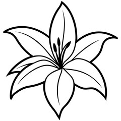 Lili flower line art vector on white back ground