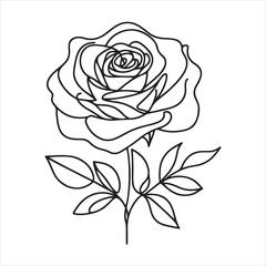 Single one line drawing of rose flower silhouette on white background
