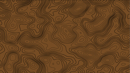 Abstract Topography line poster vector. The concept of a topographic contour geography scheme and the terrain path.	
