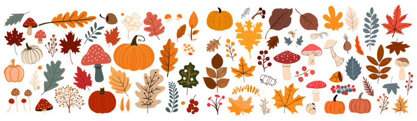 Vector illustration Autumn big collection with botanicals, different plants, leaves, mushrooms, pumpkins, berries, seasonal foliage, acorns, nature elements, hand-drawn set, isolated, fall decor