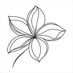 Single one line lily flower in single continuous line drawing style silhouette on white background
