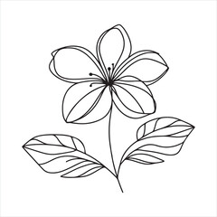 Single one line lily flower in single continuous line drawing style silhouette on white background
