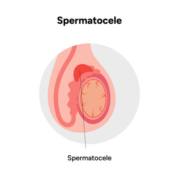 Dasha Sagalovaning xorozni sorishini onlayn tomosha qiling Seksi jojalar