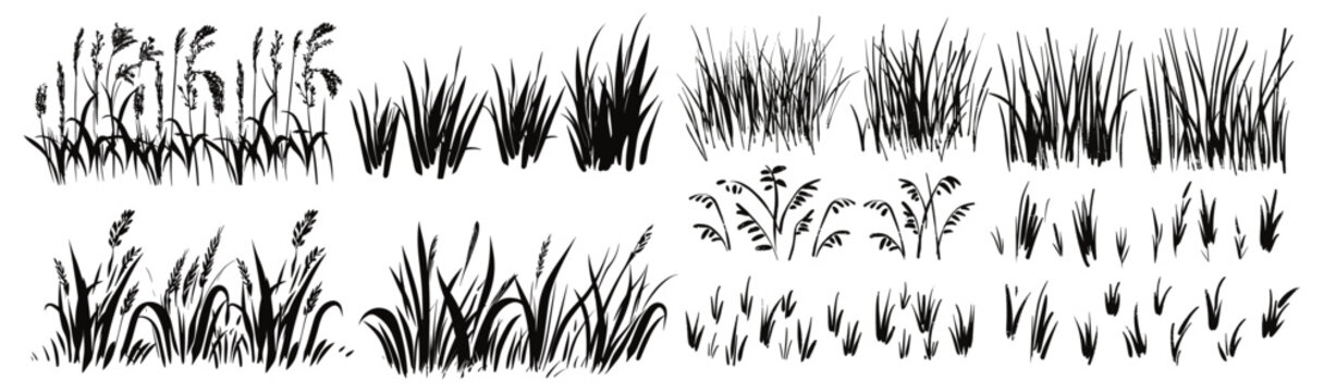 Grass doodle ink brush sketch set, hand drawn vector grass field texture, grunge brush background, organic herb elements, nature pattern, botanical sketch, doodle vegetation