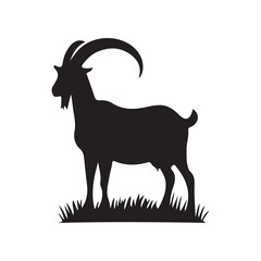 goat on a white background