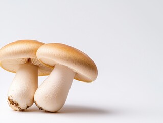 Fresh, edible mushrooms on a clean background, perfect for culinary and health themes.