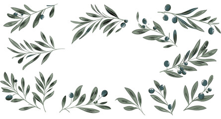 Vector illustration of olive branches set in minimal linear style, olive fruits and leaves isolated on white background, perfect for logos, patterns, labels, cards, botanical drawing