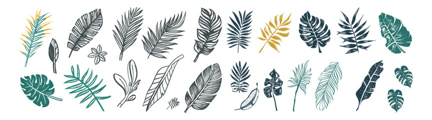 Crayon brush palm leaf vector, monstera foliage silhouette, hand drawn tropical jungle, black banana tree leaves, grunge texture, nature design elements, black leaf texture,