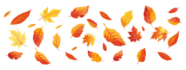 Autumn leaves in the wind vector illustration set, fall leaves, white background, wind blowing leaves, autumn foliage, seasonal leaves, nature in motion, vector design