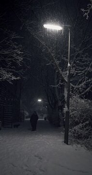 Schneefall in Berlin, eine Frau geht spazieren mit dem Hund.