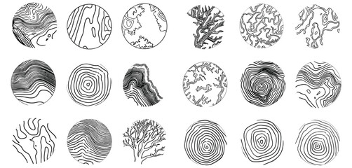 Set of vector illustration rings with topographic lines, wood rings, contour tree rings, vector line circle for outdoor logos, outline pattern for expedition logotype, adventure