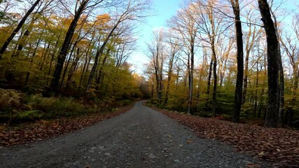 Cherry Plain Driving 0415 Autumn New York