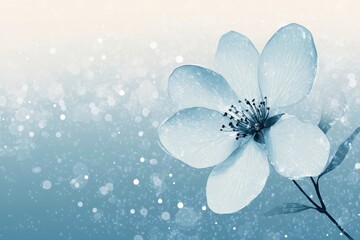 Delicate light blue flower blooms against a bokeh background