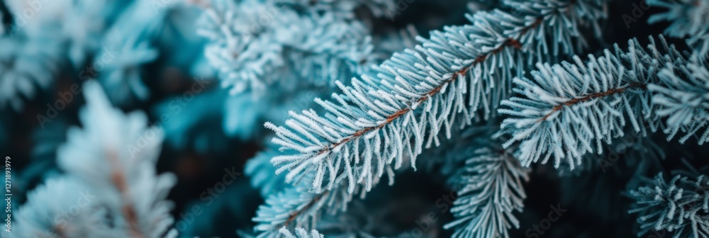 Poster close up of frosted pine branches covered with delicate snow and ice crystals, creating a serene win