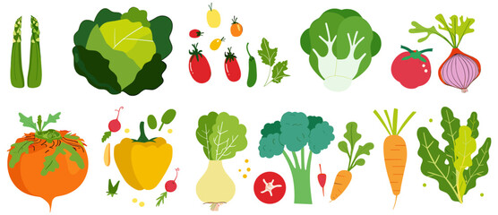 Vegetables illustration set, cabbage, broccoli, lettuce, fresh organic vegetables, balanced vegetarian diet, vegan food, healthy eating, plant-based nutrition, eco-friendly diet