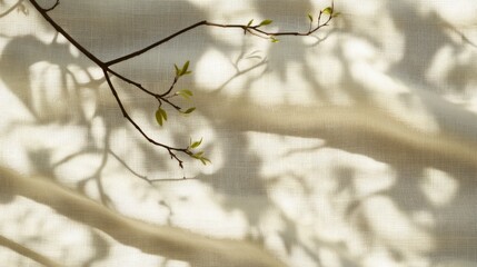 Naklejka premium Branch with sprouting leaves casts soft shadows on textured fabric