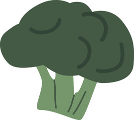 Fresh broccoli vegetable vector illustration