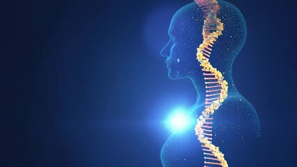 Digital human silhouette with glowing dna structure in blue background. Medical research animation. Healthcare genetics and biotechnology science concept - Powered by Adobe